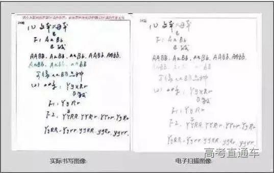 高考|惊了！高考试卷扫描后原来长这样，认真读完多拿20分