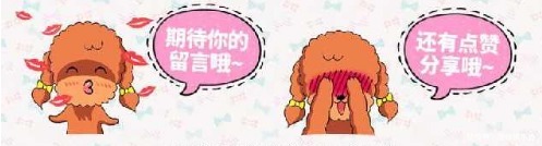 喜欢在家中养花，就要选择几种花色娇艳，花大漂亮好养的花