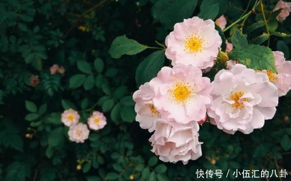 朋友关系|真正精明的人,从不轻易对人说4句话,难怪本事大福气足!