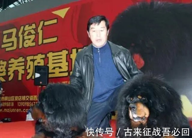 中国藏獒俱乐部|马家军教练离开赛场,靠养狗成为千万富翁,70多岁重回俱乐部执教
