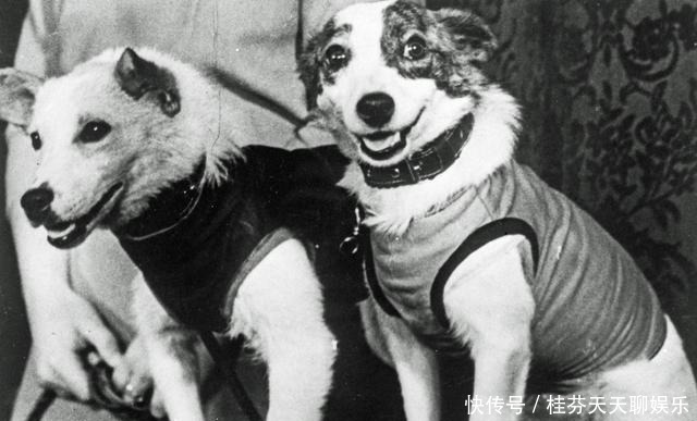 他是第一位牺牲的宇航员,明知飞船缺陷仍执行任务,结果成了焦炭