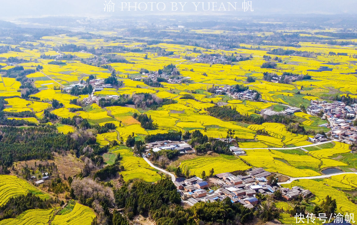 高黎贡山|中缅边境有片15万亩的花海，不逊罗平婺源，无需门票却鲜为人知