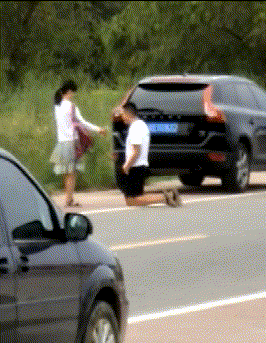 |搞笑GIF:像泥鳅一样的舌头,好长啊