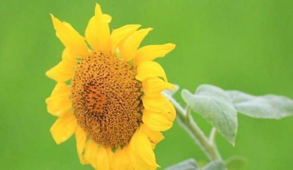 假话!俗话说:事莫做绝,话莫说尽,想要命中带福,别说4句话!