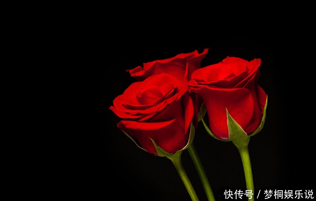 好闻|家里养此5种花,好看好闻,关键花朵还能吃,真是美味!