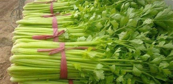 延缓衰老|人到中年,四种食物换着吃,排毒抗衰,润肠通便,增强体质