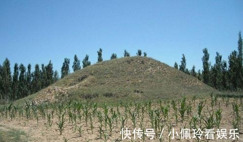 盗墓者|为什么盗墓贼一看见栽有柳树的古墓扭头就走?不走就来不及了