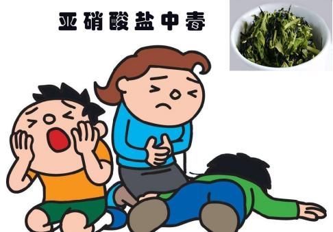 郑州的椿芽上市了，吃香椿会中毒？怎样吃才放心？