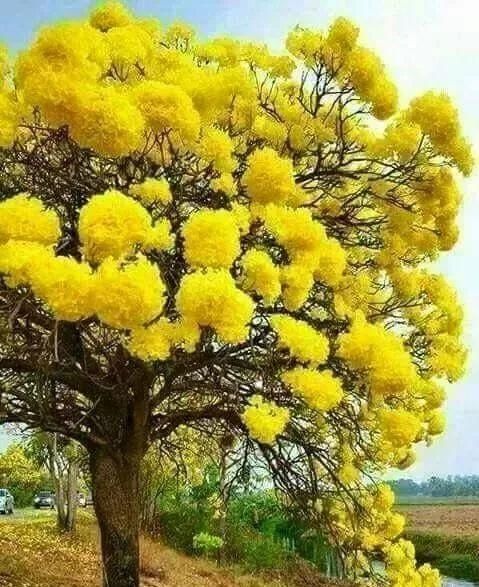 传来|太美了,世界照片今天终于传来,罕见至极,一睹为快