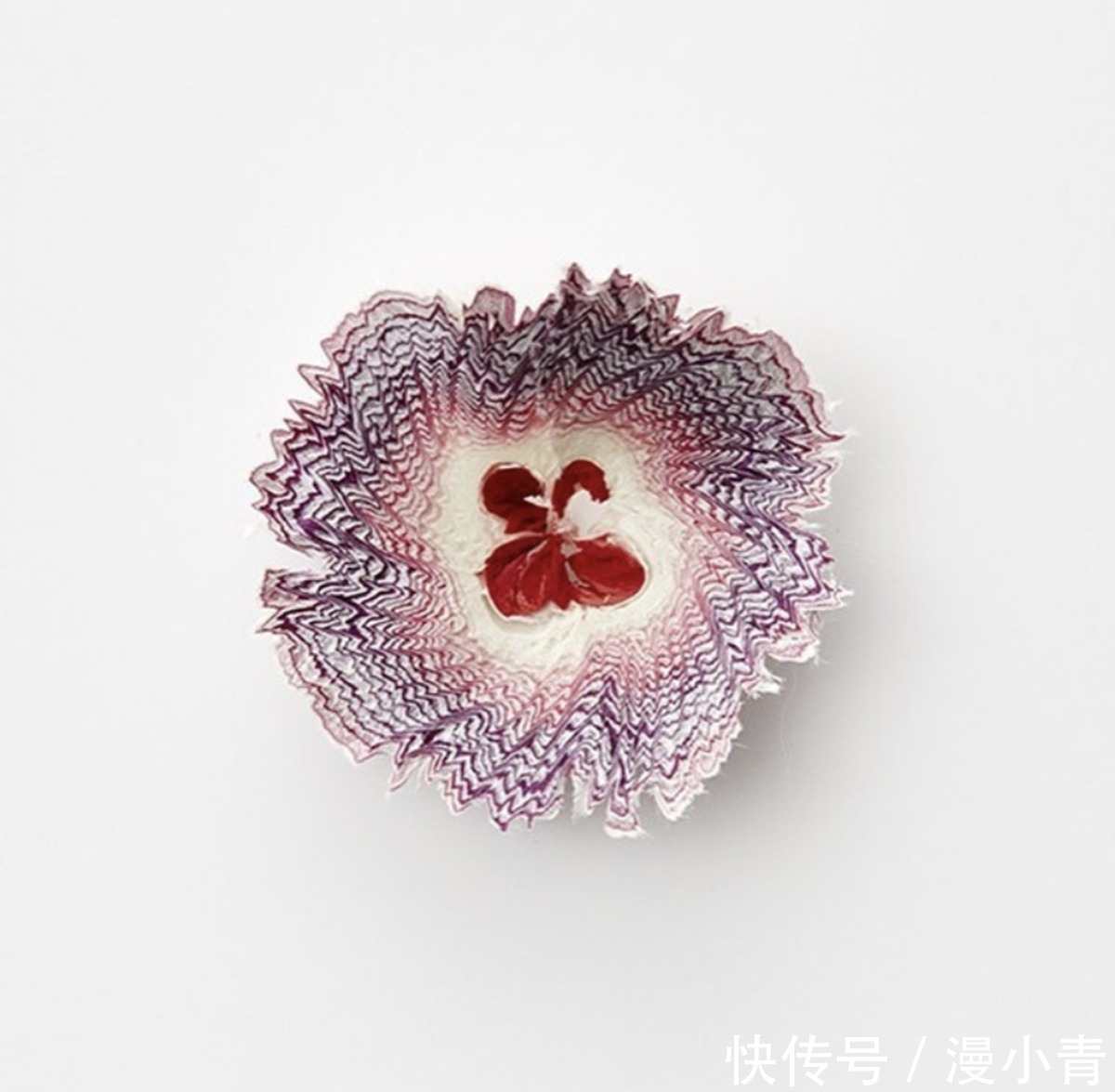 纸花$铅笔也能削出花来,这样的削铅笔达人,应该是一个喜欢二次元的人