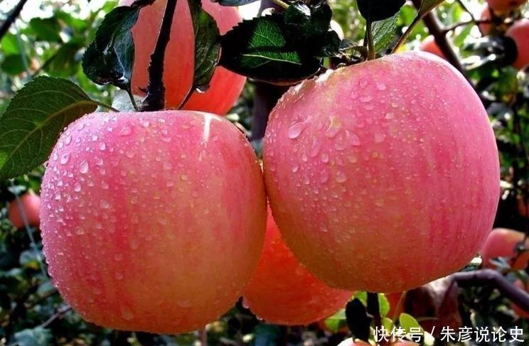 食用禁忌|吃苹果时要留意，这“4种情况”下别吃苹果，为了身体健康别轻视