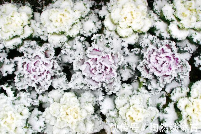 调理|给手脚冰凉，上热下寒的你：一年中适合调理的时机到了！