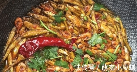 食材|这食材吃大不如吃小,多买些洗净整个放锅中一炖,鲜香入味还补钙