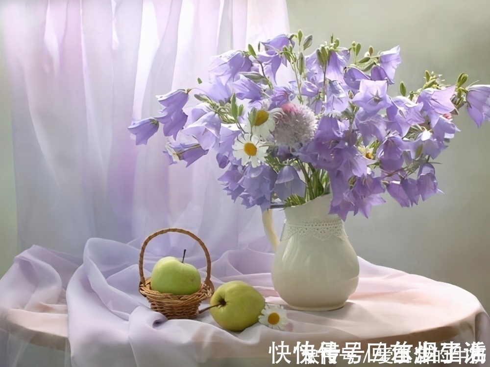 别信卧室养绿植除甲醛，还有这些花一定不要养，否则只有后悔