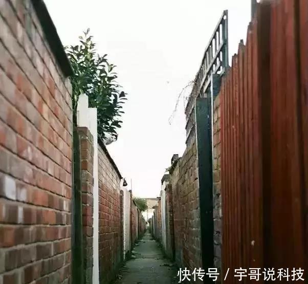 大脑|老年痴呆测试图:别花时间想,看看你能花几秒找出图中的人和物?