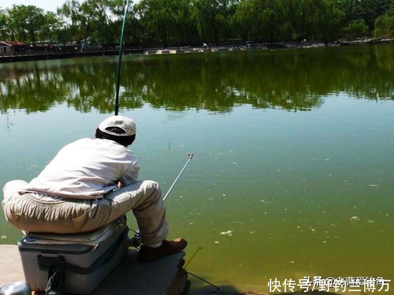 6条小鱼“换来”取保候审,涉嫌非法捕捞!钓友要引以为戒