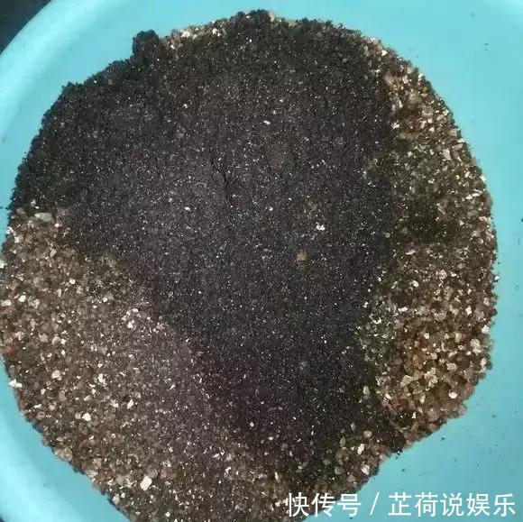 煤渣|什么腐叶土、营养土,比不上“一窝煤”,养花不烂根,易爆盆!