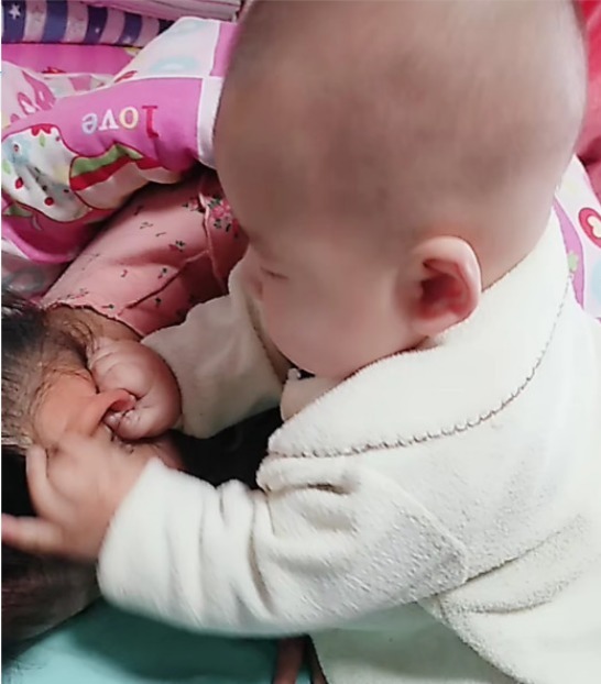 弟弟|二胎弟弟叫姐姐起床,有谁观察到他的一个行为,网友直呼亲生的