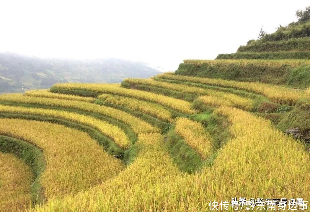 一组图加榜梯田的照片，一年四季都很美，不管几月份来都好看