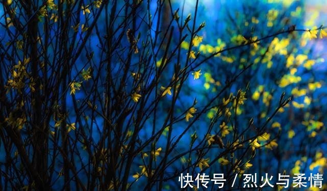 千古名句|大龄剩女太想嫁人,写下一首羞羞诗,最后一句真酸,酸成千古名句