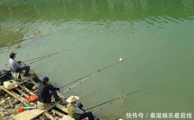 依赖|如果你想钓鱼,不要依赖商业鱼饵,你必须依赖它们