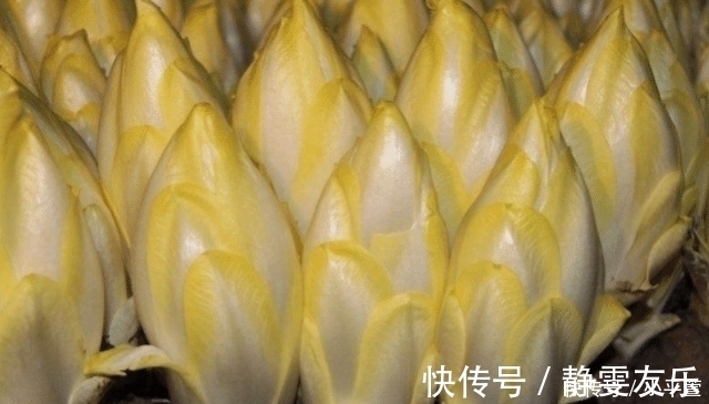 告知删除|农民种植“见不得光”的蔬菜，在欧洲很火，价格贵但味道不如白菜