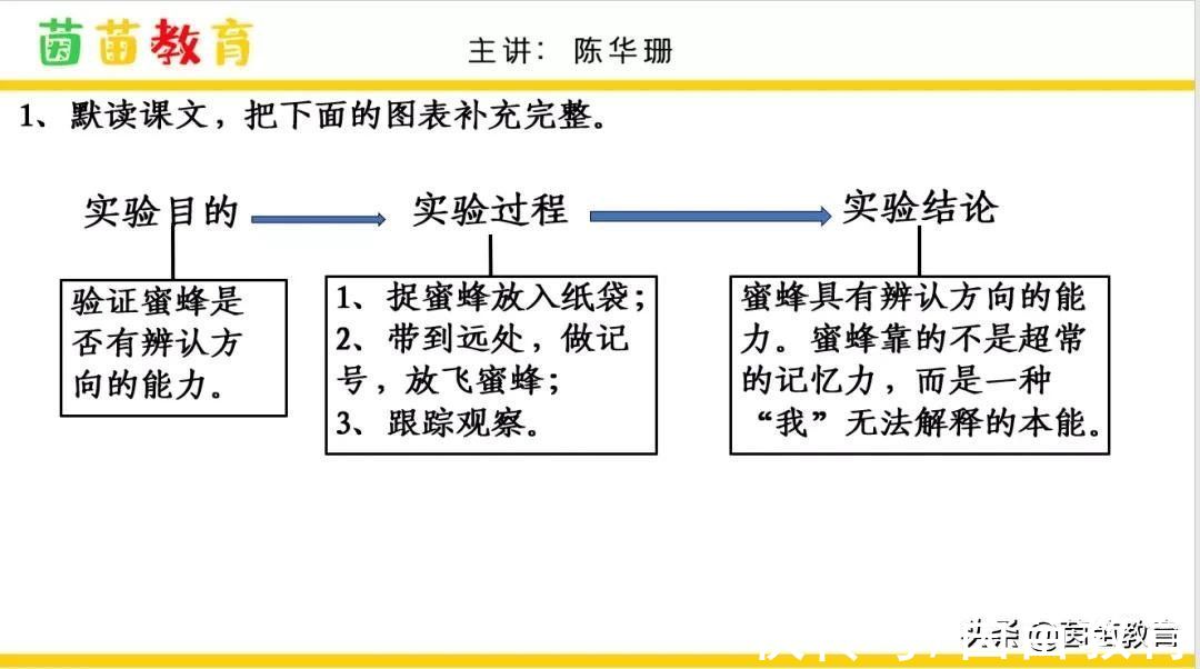 反义词|阅读理解怎么才能得高分？家长来看看