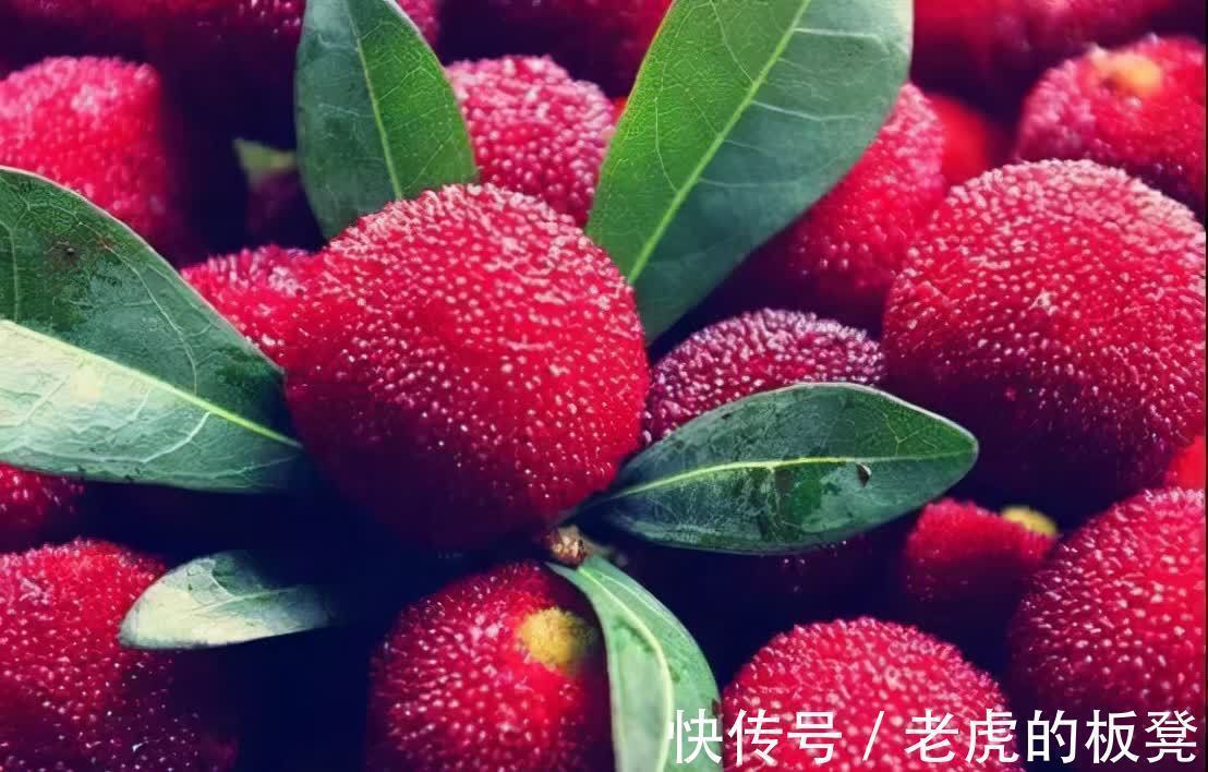 杏花|奶奶说过,3种“吉祥果”家中要常备,寓意连理交枝连枝相依