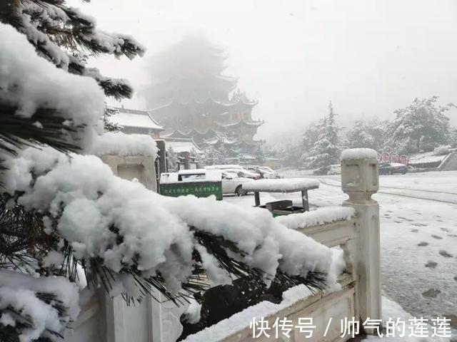 雪景|惊艳！平凉迎来入秋第一场雪，刷爆朋友圈！