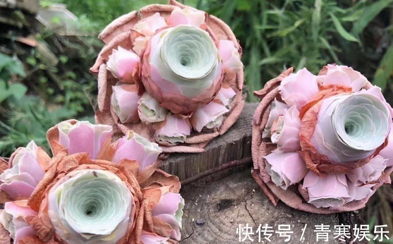 张大哥养肉10多年,总结出4个“耐热品种”,肉迷都喜欢