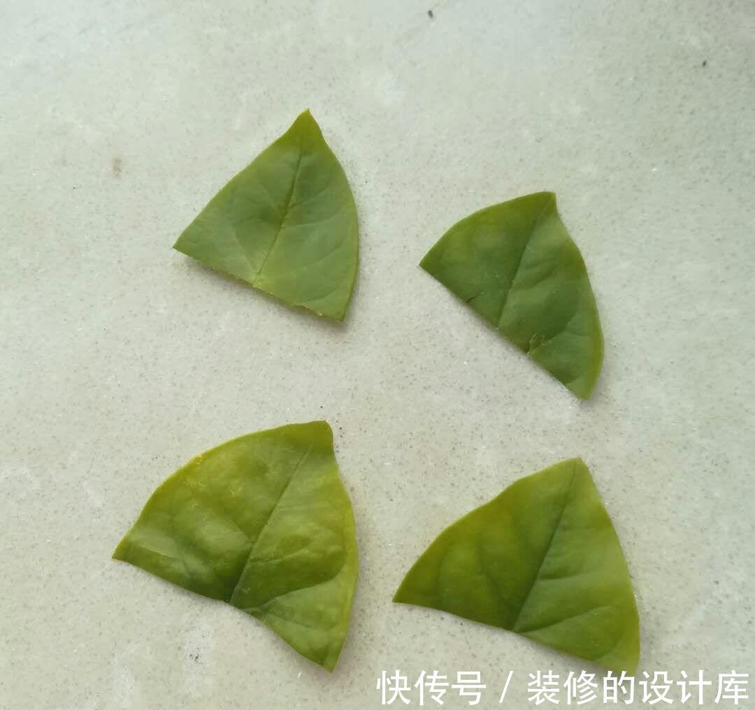 发黄|茉莉扦插成活后,叶片发黄原因和解决办法,你都清楚吗