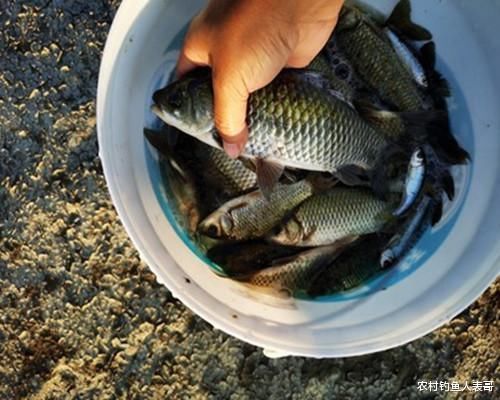 冬季野钓找好钓位看水温,摸清影响水温的三要素,才能找到好钓位