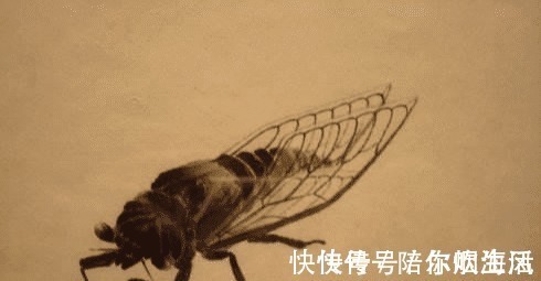 边边角角#齐白石有多吝啬给友人画蒲扇仅添加一只苍蝇,如今苍蝇价值70万!