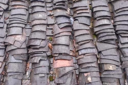 可以垫在花盆底部的4种材料，不用花钱买，趁着春季踏青捡点就行