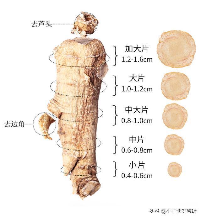 花旗參|西洋參吃了大半輩子，它的內幕：軟枝與硬枝哪個好？沒幾個知道