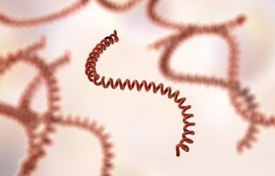 老农|接触就可能感染，丽水一72岁老农住进EICU