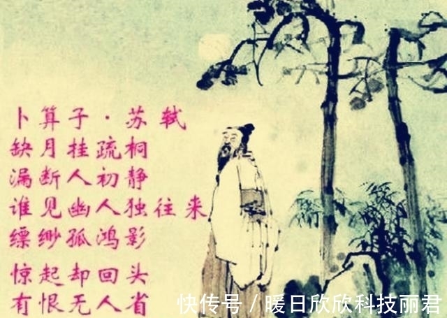 读书人#苏轼最落寞的词,短短四句,却写出了世间最深的孤独,被传诵千年