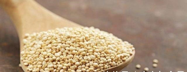 香菇|处暑之后,这五种粗粮可多吃,营养丰富又全面,助我们增强抵抗力!