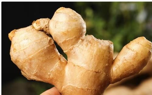 外皮|夏天到了多吃姜，但需牢記“4不吃”，看完告訴家人，以后別亂吃