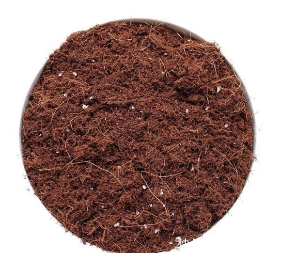 1升营养土等于多少斤