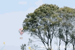 五年之癢|《向往的生活》五年之癢張藝興初秀亮點多,但這幾點仍未知