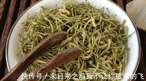 金银花茶|李时珍说它是“咽炎克星”,早晚喝一杯,清肺止咳,拒绝咽炎发作