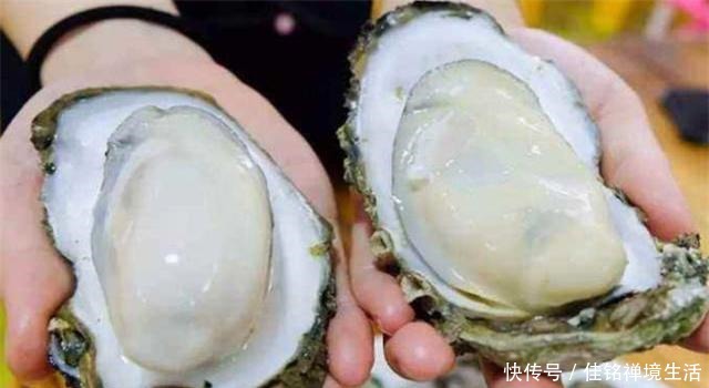 烧烤摊|海鲜界的双胞胎,明明长得一样,为什么一个叫生蚝,一个叫牡蛎