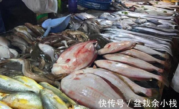 营养|这3种鱼自带重金属,价格虽然便宜,但营养低伤身体,别乱吃!