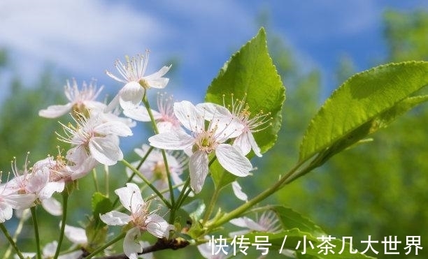 所能|11月底，月老送缘，痴情入骨，尽其所能，不再辜负，此生相伴到老