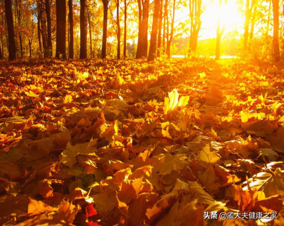 季节|立秋有“三不睡、三不做、三要吃”,分别都是指啥