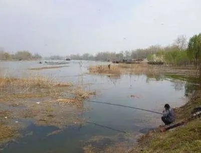 冬钓鲫鱼,牢记“四大可钓”情形,只有老手才明白!