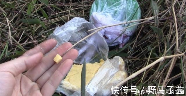 饵料|玉米这样用,让钓鱼效果翻倍,鲫鱼鲤鱼草鱼鳊鱼都爱吃,别错过