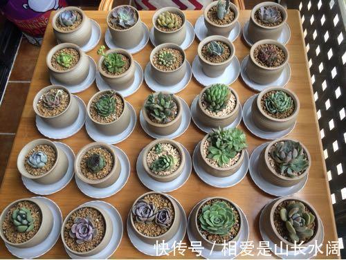 二人餐|媳妇装新房，卫生间砌“半墙”，阳台成“绿森林”，被邻居赞爆了