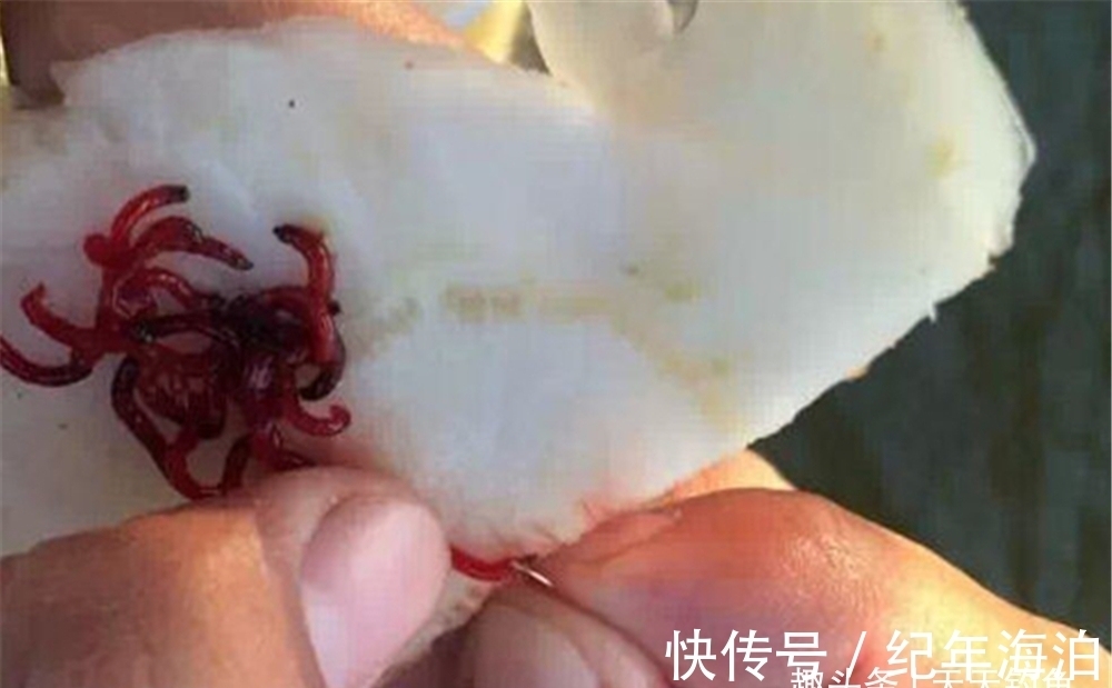 冬季钓鱼,提升咬钩量的3个办法,天冷还想爆护,这些方法要常用